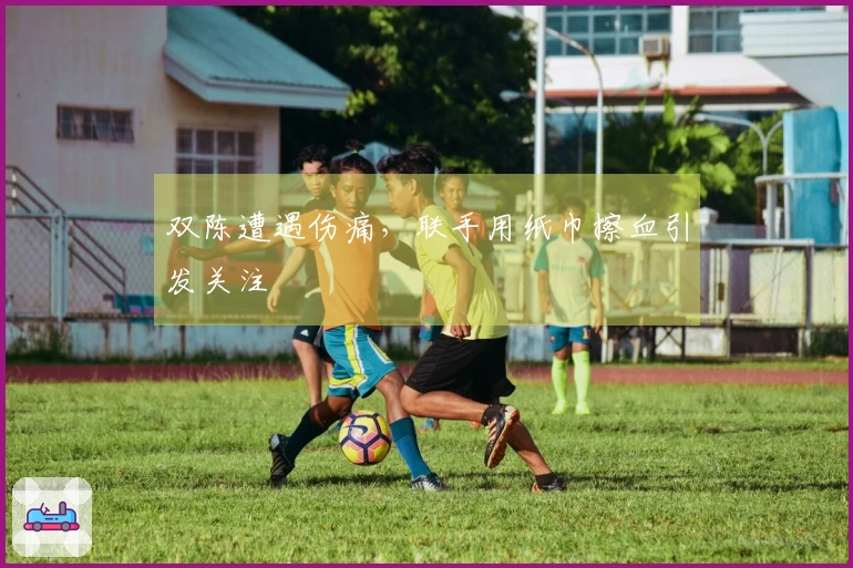 双陈遭遇伤痛，联手用纸巾擦血引发关注