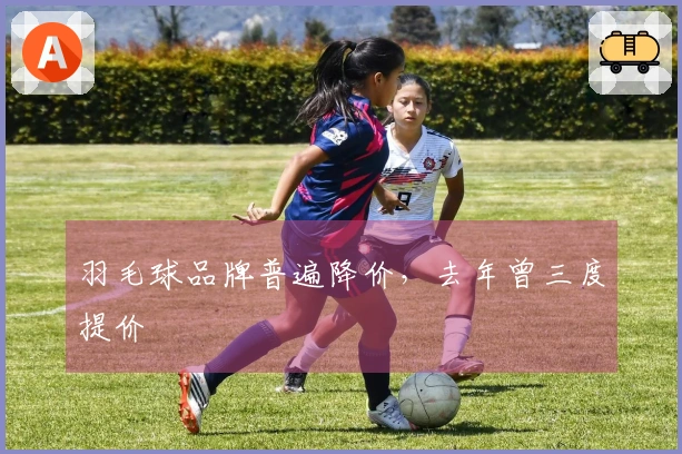 羽毛球品牌普遍降价，去年曾三度提价